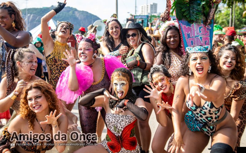 Fotos bloco Amigos da Onça no Carnaval de Rua 2026 do Rio de Janeiro