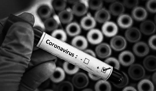Coronavirus no Brasil e no Mundo