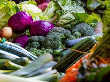 higienizacao de frutas verduras e legumes